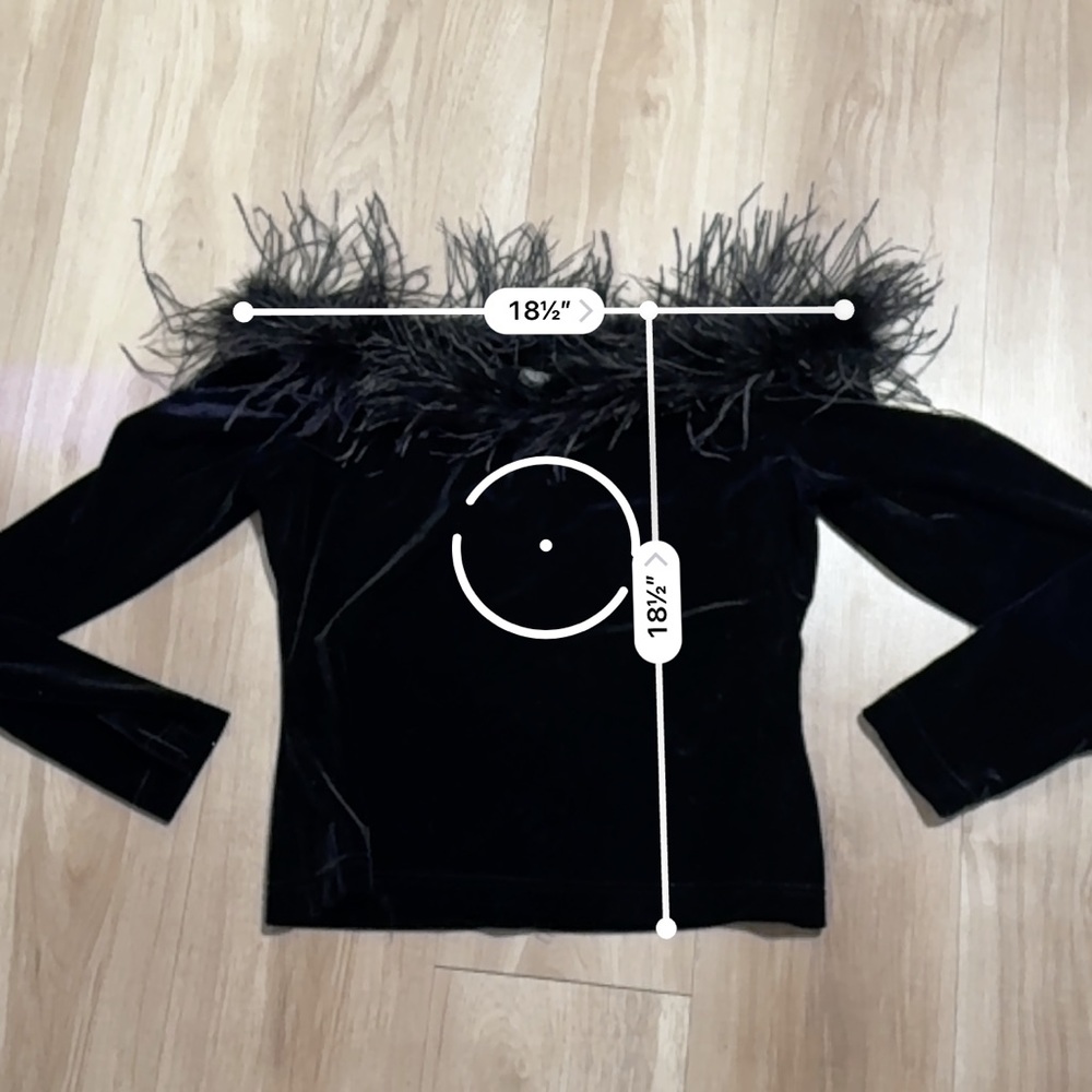 Cachet Black Long Sleeve Top with Feather Trim - Picture 7 of 7